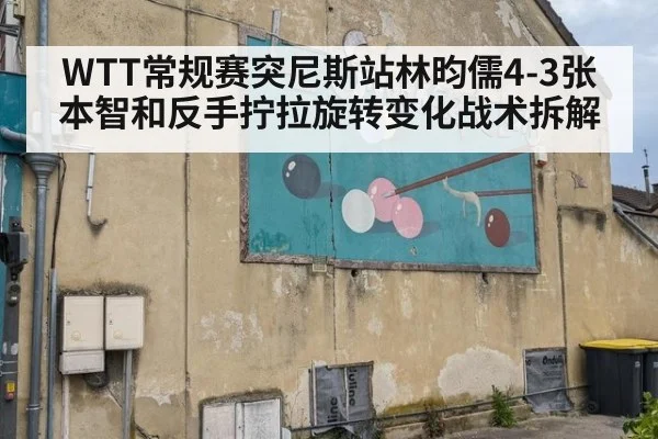 WTT常规赛突尼斯站林昀儒4-3张本智和反手拧拉旋转变化战术拆解