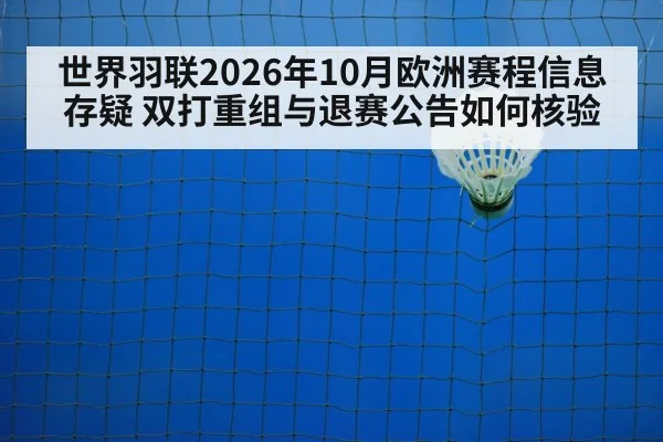 badminton shuttlecock on court